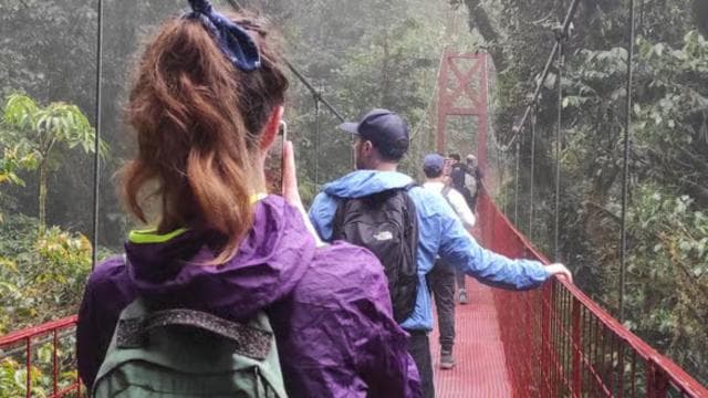 Monteverde: Exploring the Cloud forest — Guided tour and outdoor activity
