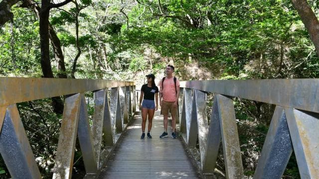 Rincón de la Vieja National Park: Las Pailas trail — Guided tour and outdoor activity
