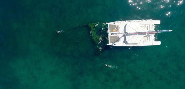 Samaná: Catamaran Boat Tour with Snorkeling and Lunch — Guided tour and outdoor activity