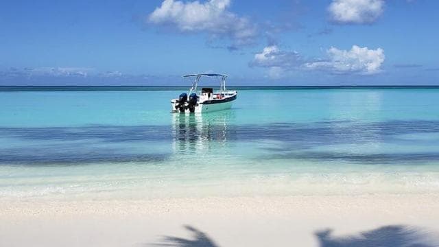 Punta Cana: Celodenní skupinový výlet na ostrov Saona — Guided tour and outdoor activity