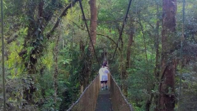 Guanacaste: Rainforest, Sloths, & Nature Day Trip with Lunch — Guided tour and outdoor activity