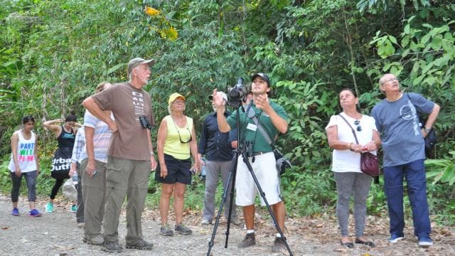 From Jaco: Full-Day Manuel Antonio National Park Tour — Guided tour and outdoor activity
