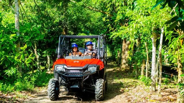 From Punta Cana: Jungle Buggy Adventure to Anamuya River — Guided tour and outdoor activity