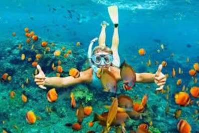 Punta Cana: Catalina Island and Snorkel For Small Group — Guided tour and outdoor activity