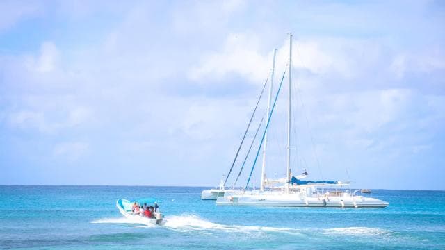 Punta Cana: Saona Island Catamaran — Guided tour and outdoor activity