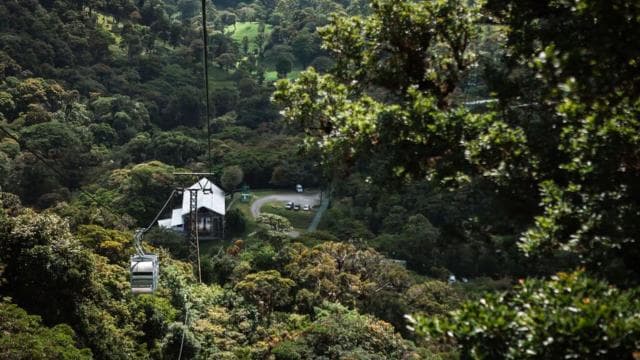 Monteverde: TreeTram Cableway and Cloud Forest Hiking Trail — Guided tour and outdoor activity