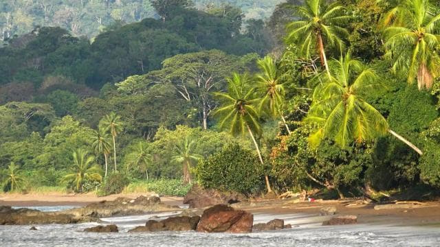 Corcovado National Park: Three Days and Two Nights Corcovado — Guided tour and outdoor activity