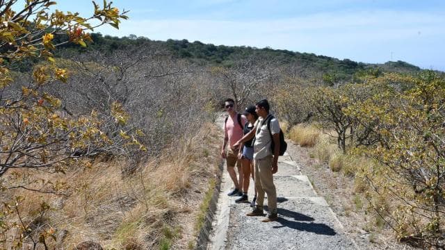 Rincón de la Vieja: Las Pailas trail + Oropendola — Guided tour and outdoor activity