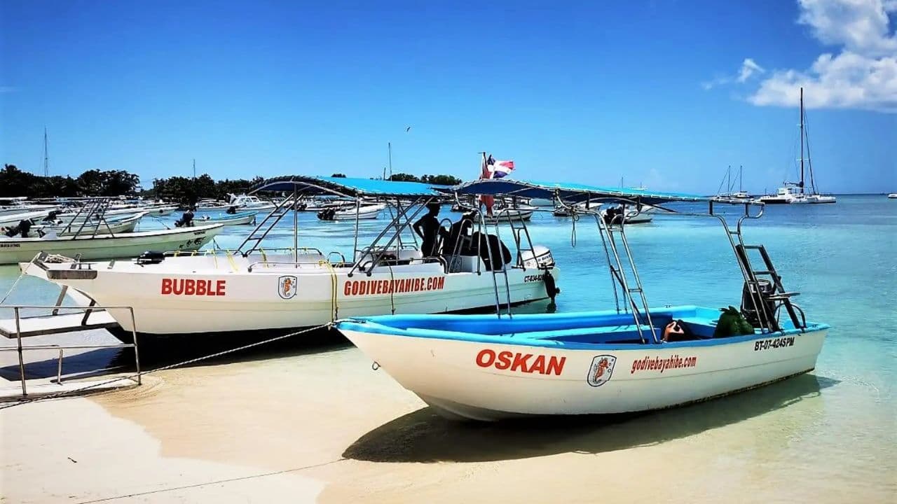 Bayahibe: Scuba Diving Initiation - Godive Bayahibe — Guided tour and outdoor activity