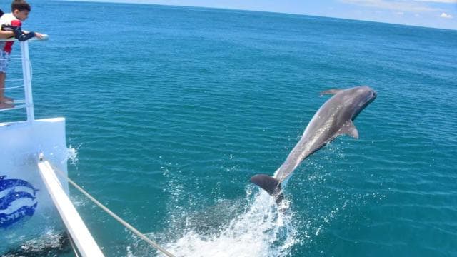 All-Inclusive Catamaran Eco Adventure with Lunch — Guided tour and outdoor activity