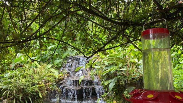 La Paz Waterfall Gardens Day Pass Ticket — Guided tour and outdoor activity