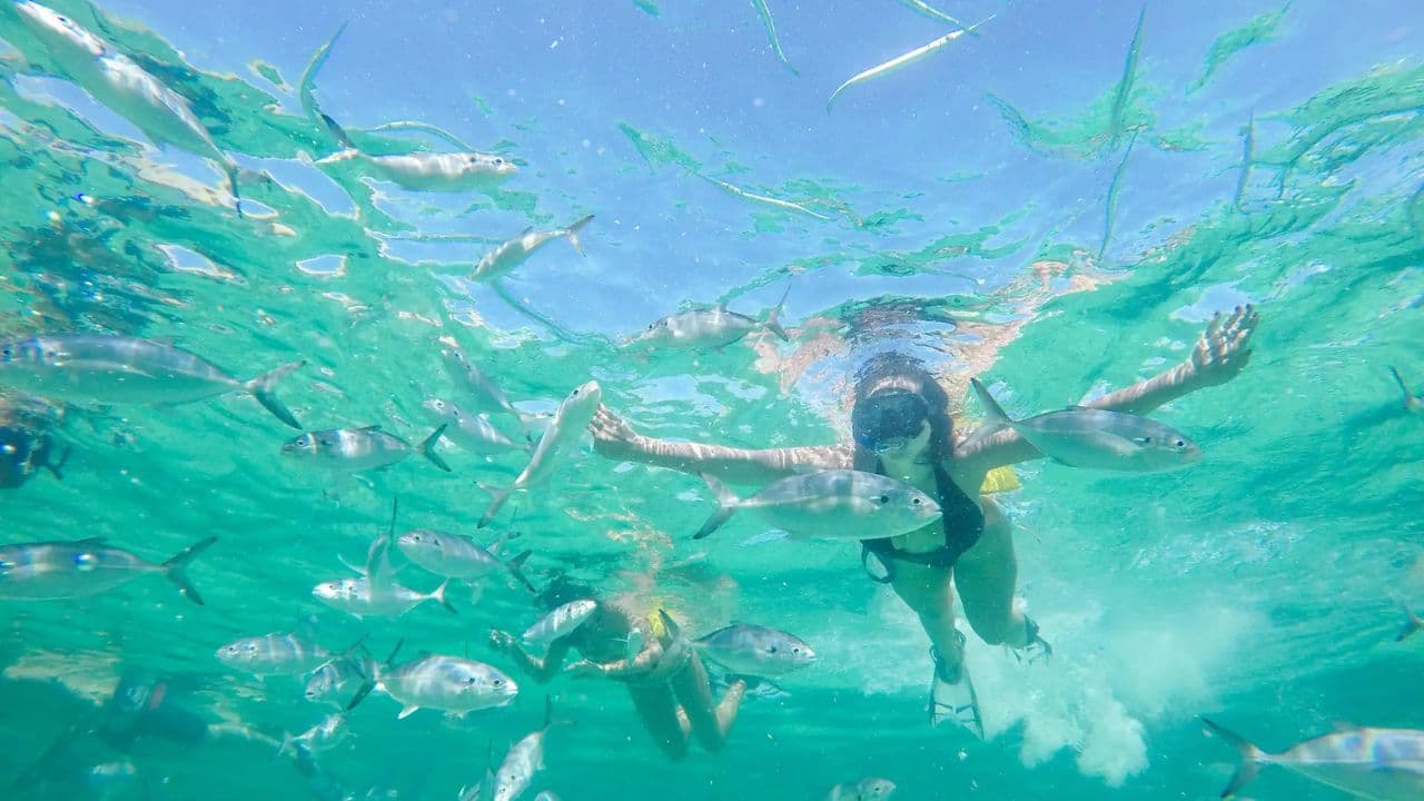 Punta Cana: Speedboat and Snorkeling Adventure with … — Guided tour and outdoor activity