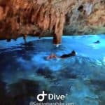 Bayahibe: Snorkeling Tour – Sea, Cotubanama park & Cenotes — Guided tour and outdoor activity