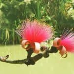 Puerto Plata: Taino Valley and Dominican Flavor Experience — Guided tour and outdoor activity