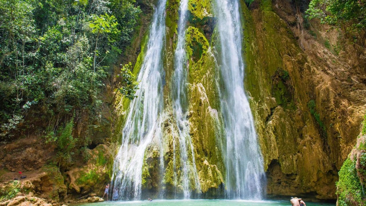 Samaná → Sabana de la Mar: precios y horarios — Guided tour and outdoor activity