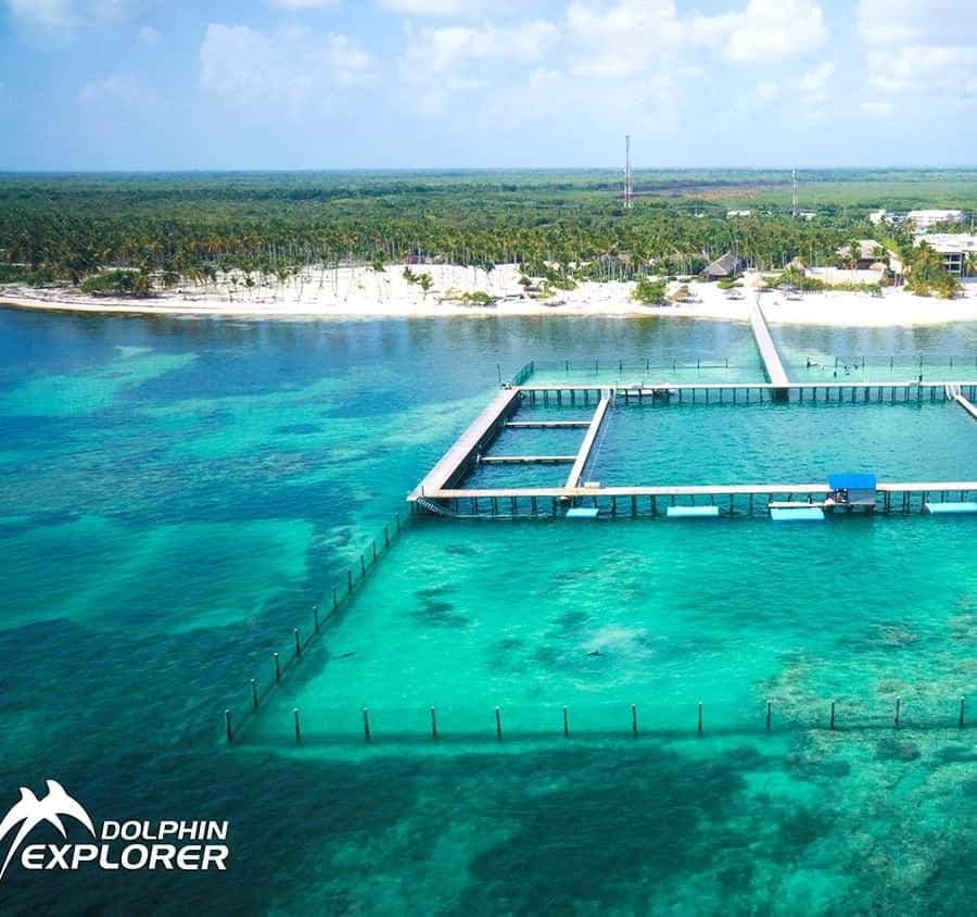 Punta Cana Dolphin Experience: 50 Minutes of Water Fun — Guided tour and outdoor activity