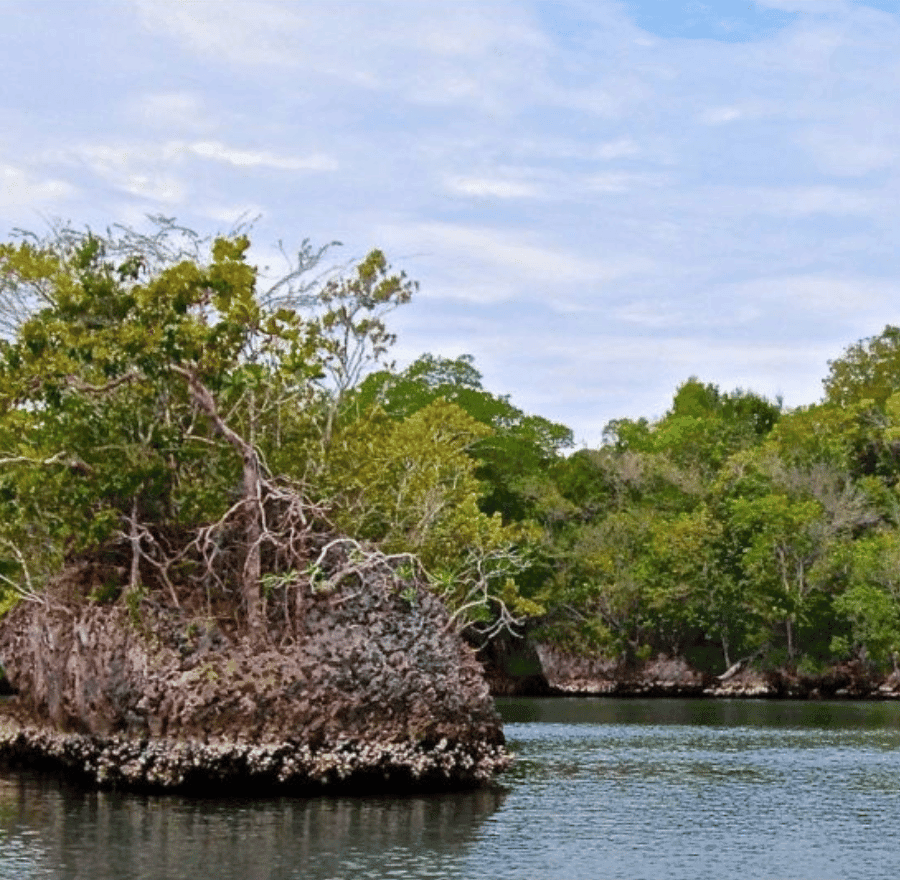4in1: Los Haitises+ Kayaking+ Natural Pools+ Montana Redonda — Guided tour and outdoor activity