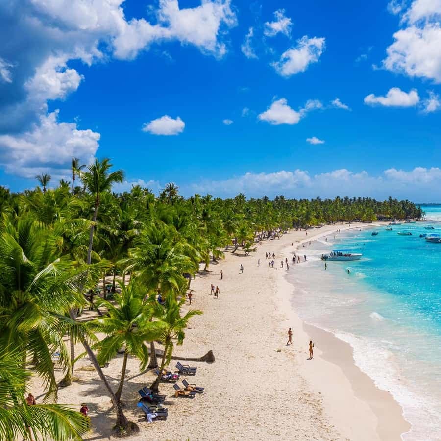 Punta Cana: Isla Saona Speedboat Tour with Snorkeling — Guided tour and outdoor activity