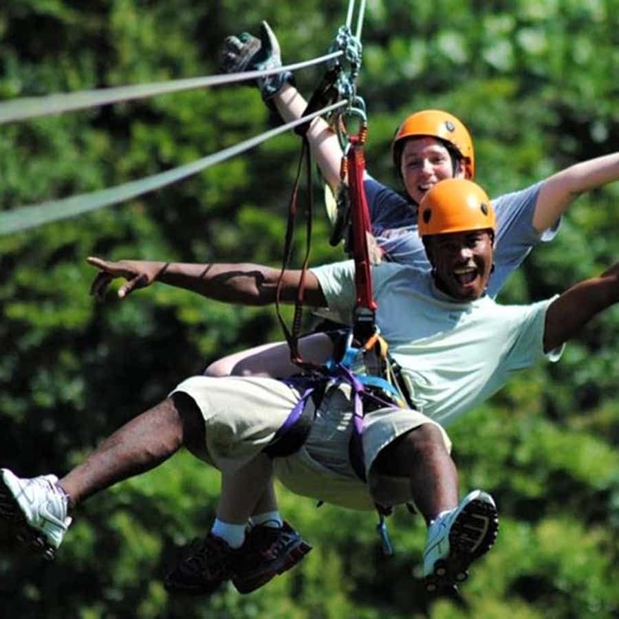 Punta Cana: Rainforest Zipline Adventure — Guided tour and outdoor activity