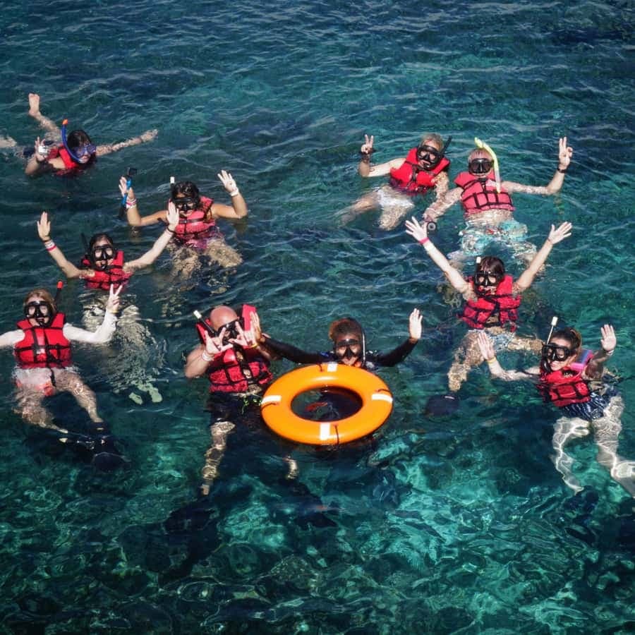 Full-Day Catalina Island With Scuba Diving — Guided tour and outdoor activity