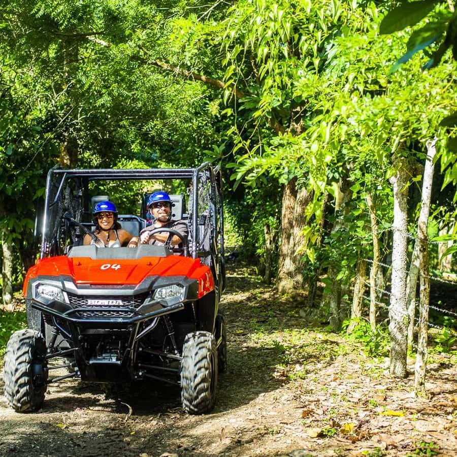 Bayahibe/La Romana: 4x4 Buggy and Monkeyland Tour — Guided tour and outdoor activity
