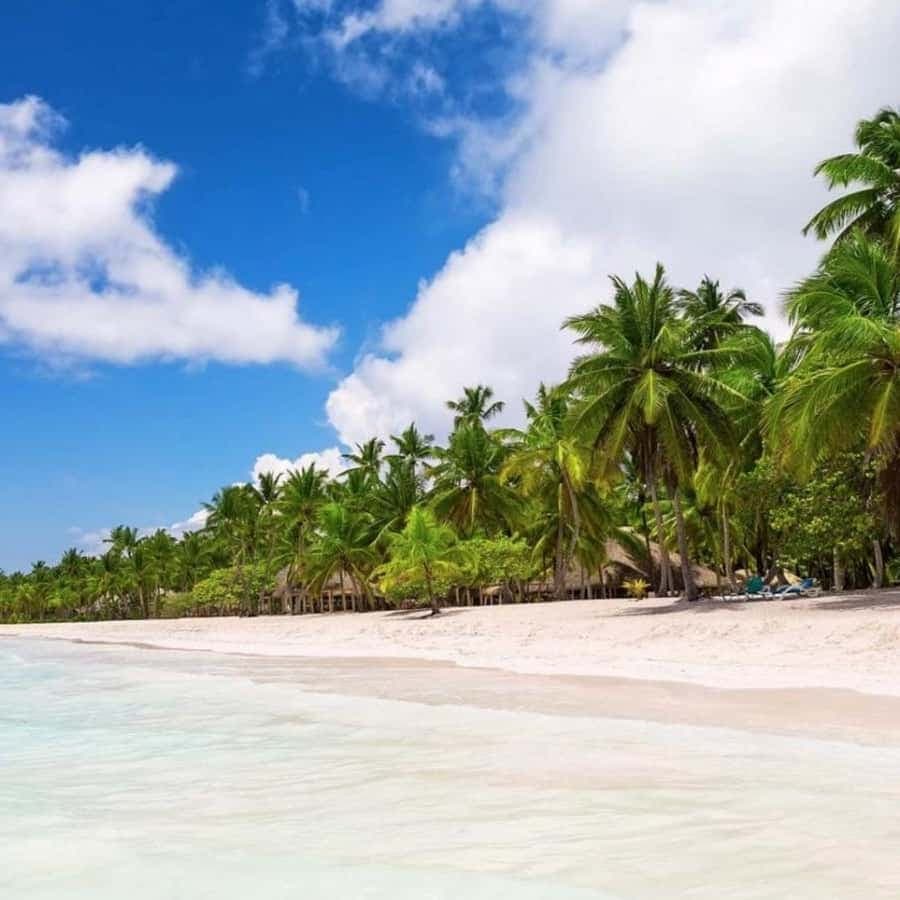 All-Inclusive Excursion to Saona Island from Punta Cana: Lunch and Open Bar — Guided tour and outdoor activity