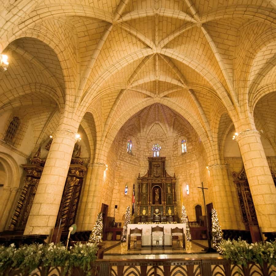 Santo Domingo Runner from Punta Cana — Guided tour and outdoor activity