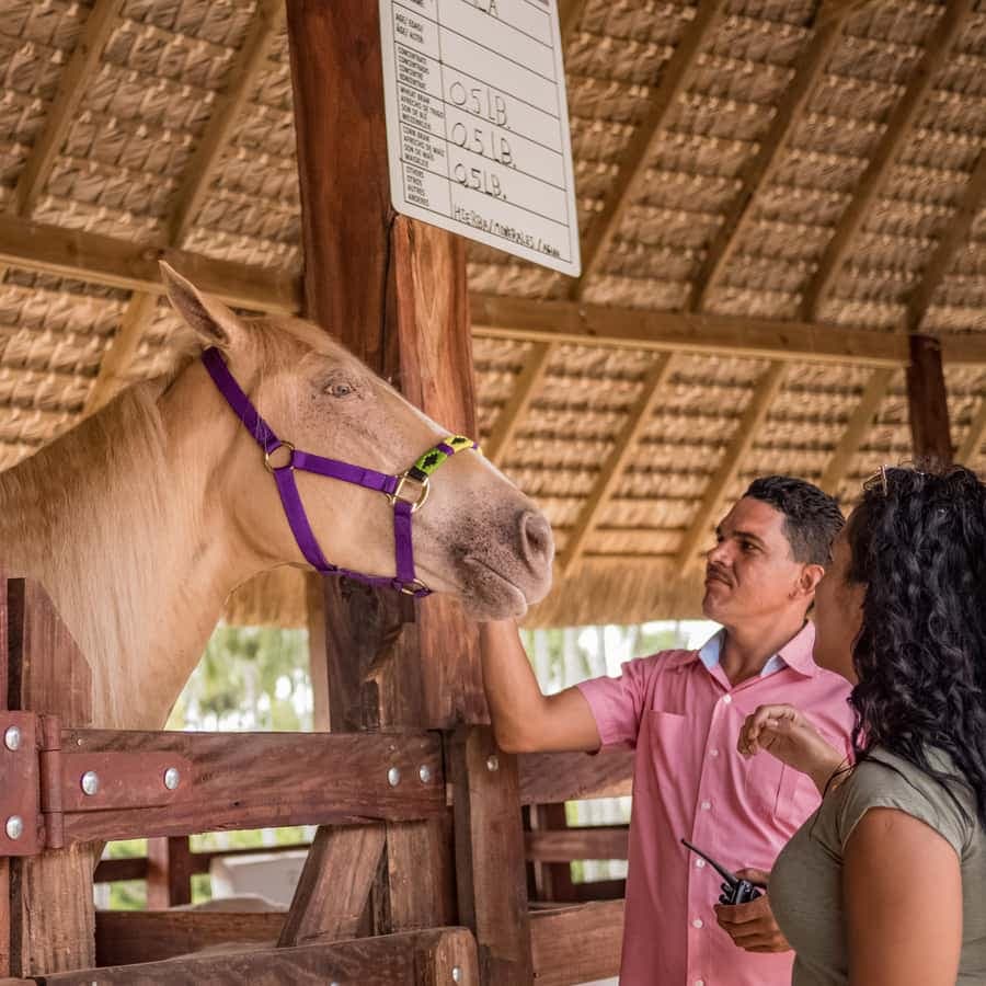 Eco Park Safari Dobrodružství — Guided tour and outdoor activity