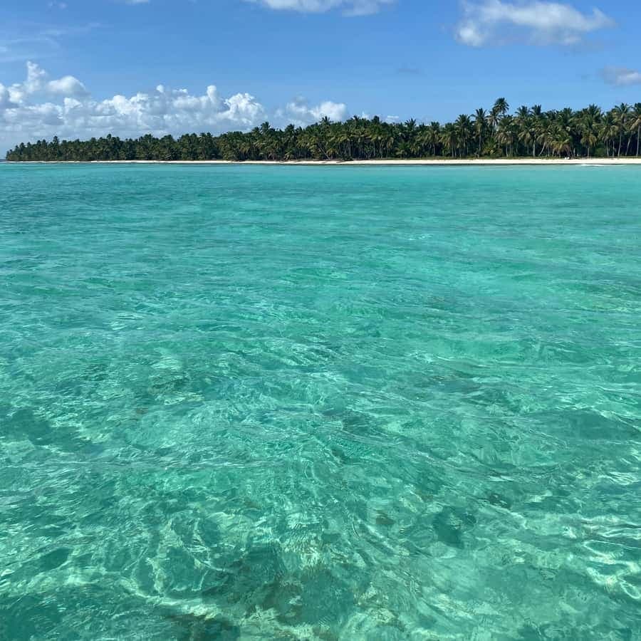 Saona Island in a semi-submarine and snorkeling. — Guided tour and outdoor activity