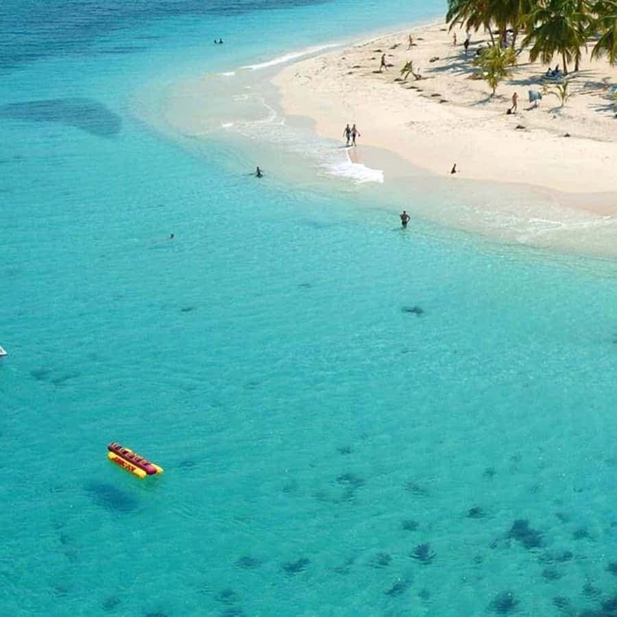 From Punta Cana: Samana Full Day Trip by Bus and Boat — Guided tour and outdoor activity