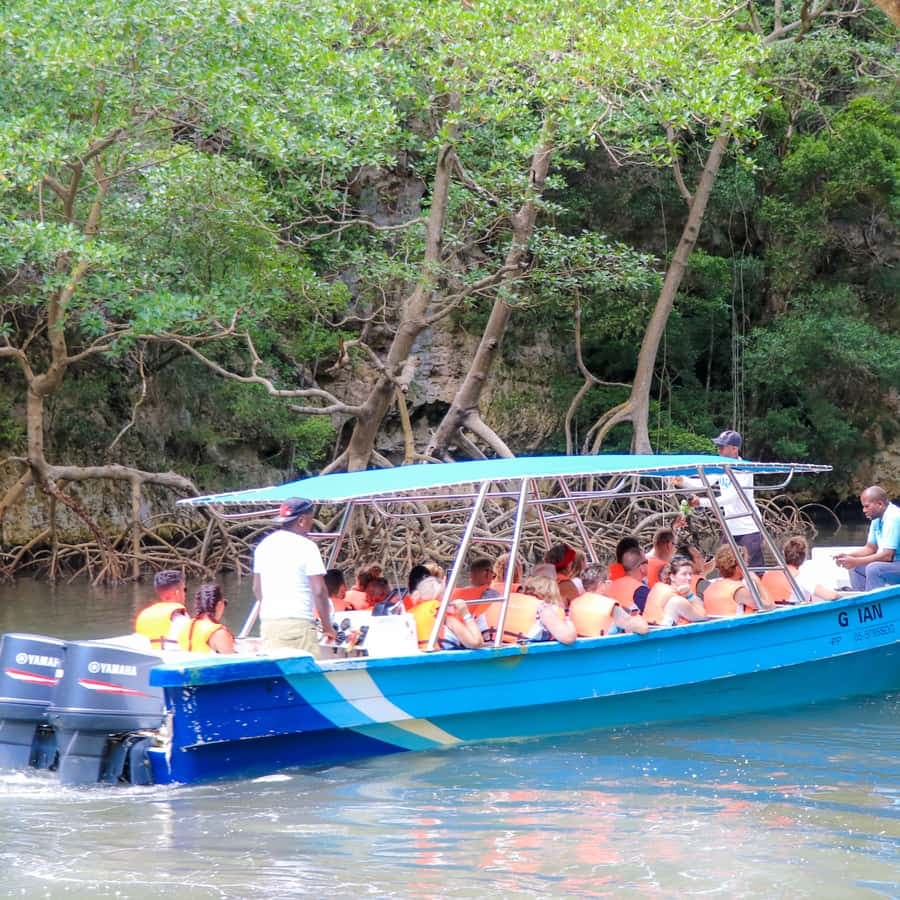 From Punta Cana: Los Haitises and Redonda Mountain Day Trip — Guided tour and outdoor activity