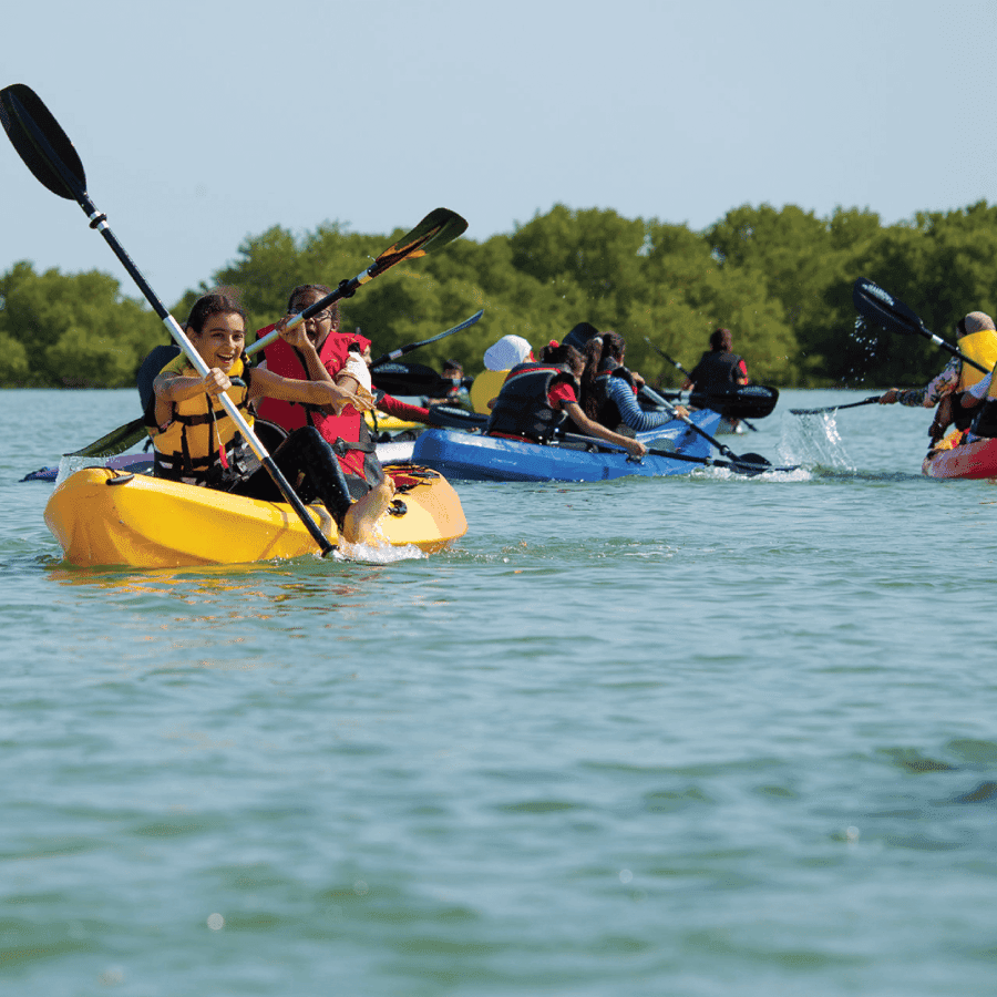 From Punta Cana: Los Haitises & Caño Hondo Private Boat Tour — Guided tour and outdoor activity