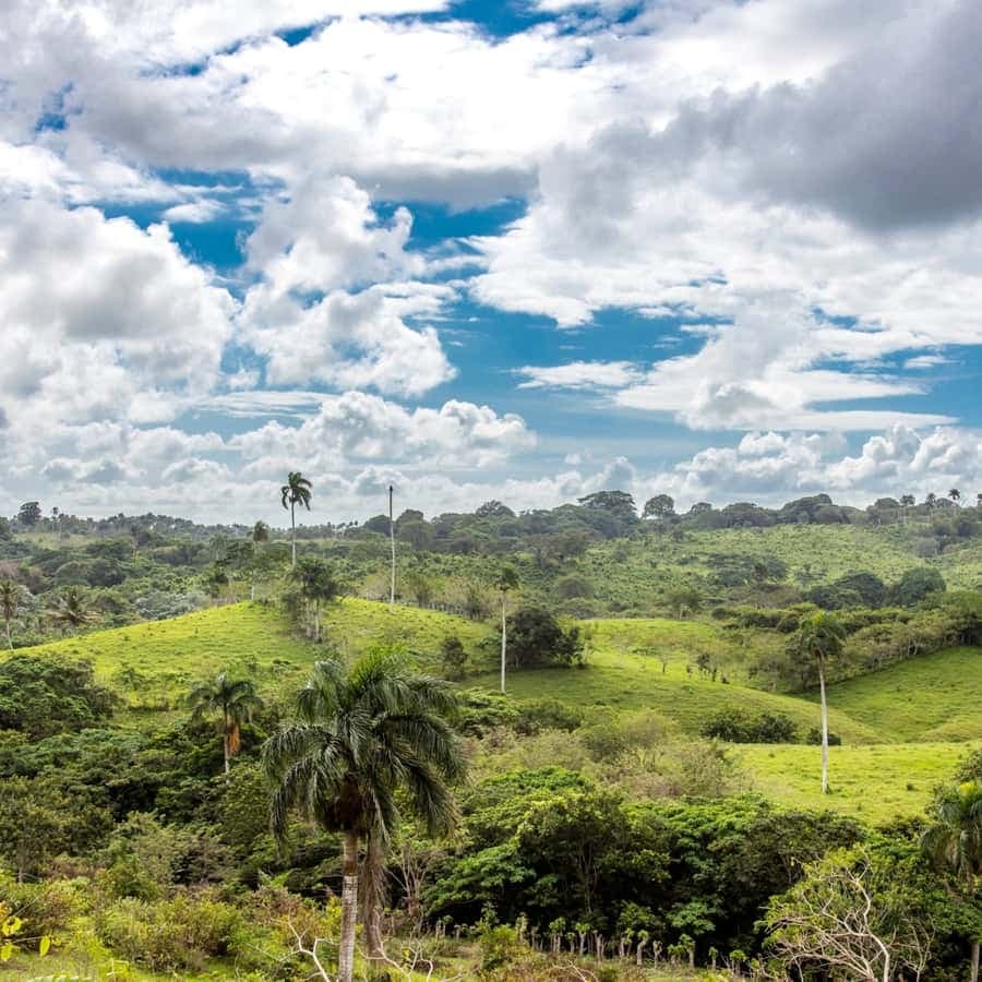 Punta Cana: Anamaya Mountains Walking Tour with Tasting — Guided tour and outdoor activity