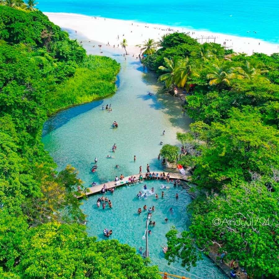 Bahía de las Águilas 2 Days Shared All-Inclusive From Santo Domingo — Guided tour and outdoor activity