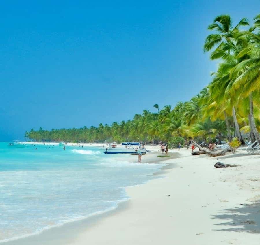 From Punta Cana: Saona Island Private Guided Catamaran Tour — Guided tour and outdoor activity