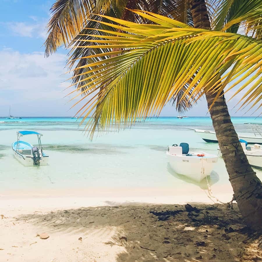 Bayahibe: Insel Saona Segeln im Katamaran mit offener Bar — Guided tour and outdoor activity