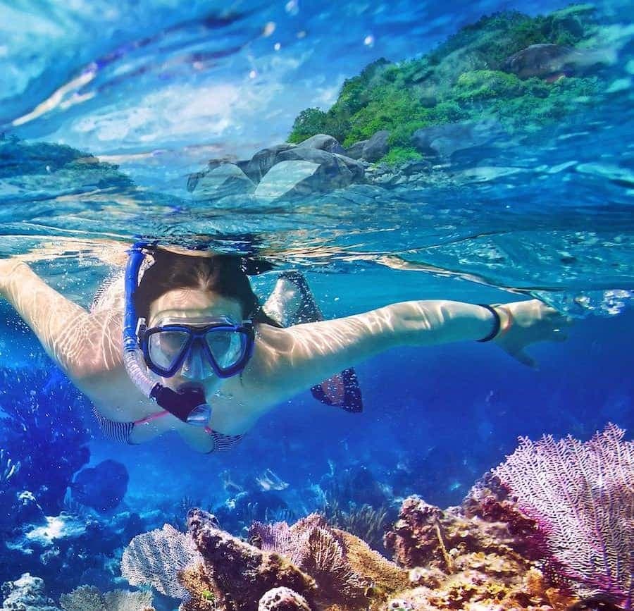 Santo Domingo: Saona Island Tour by Catamaran or Speedboat — Guided tour and outdoor activity