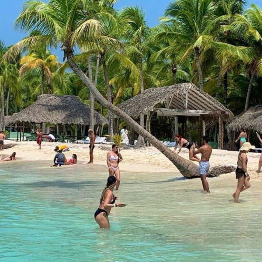 Bavaro: Saona Island Speedboat Tour with Open Bar — Guided tour and outdoor activity