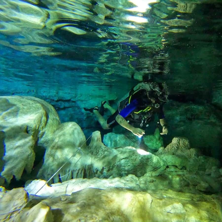 Punta Cana: Diving in Cavernes or Cenotes — Guided tour and outdoor activity