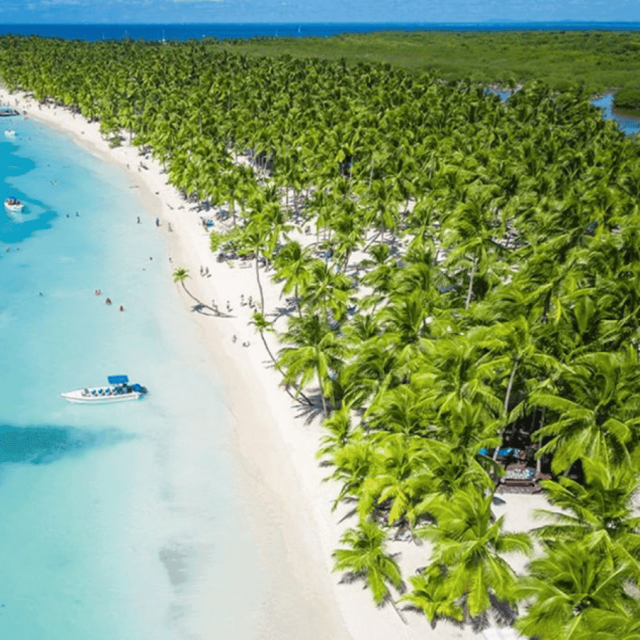 Catalina Island snorkeling Dominican Republic — Guided tour and outdoor activity