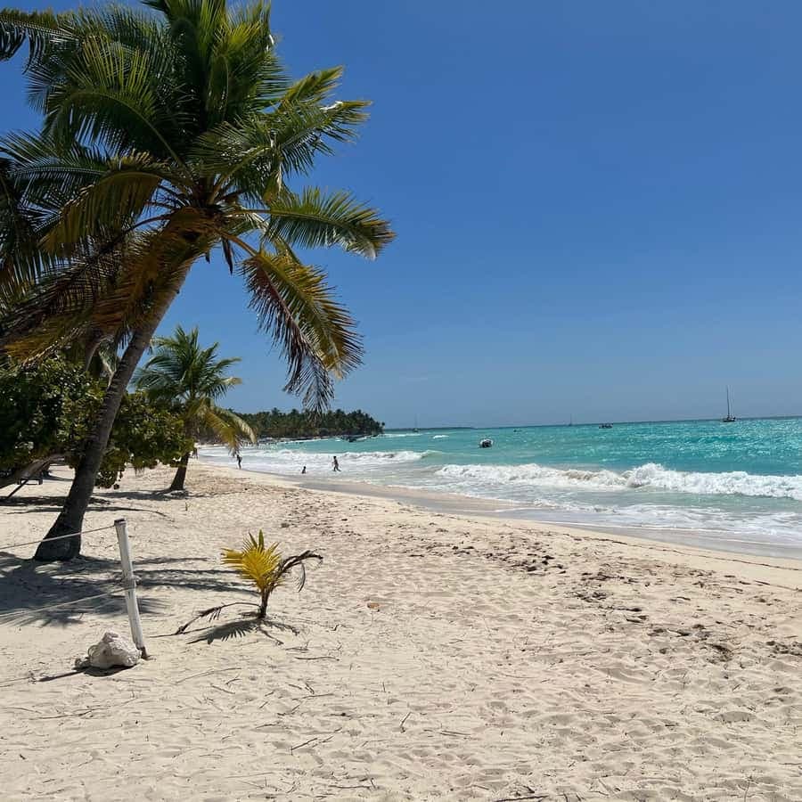 Saona Island & Chavon River Tour with Lunch & Drinks — Guided tour and outdoor activity