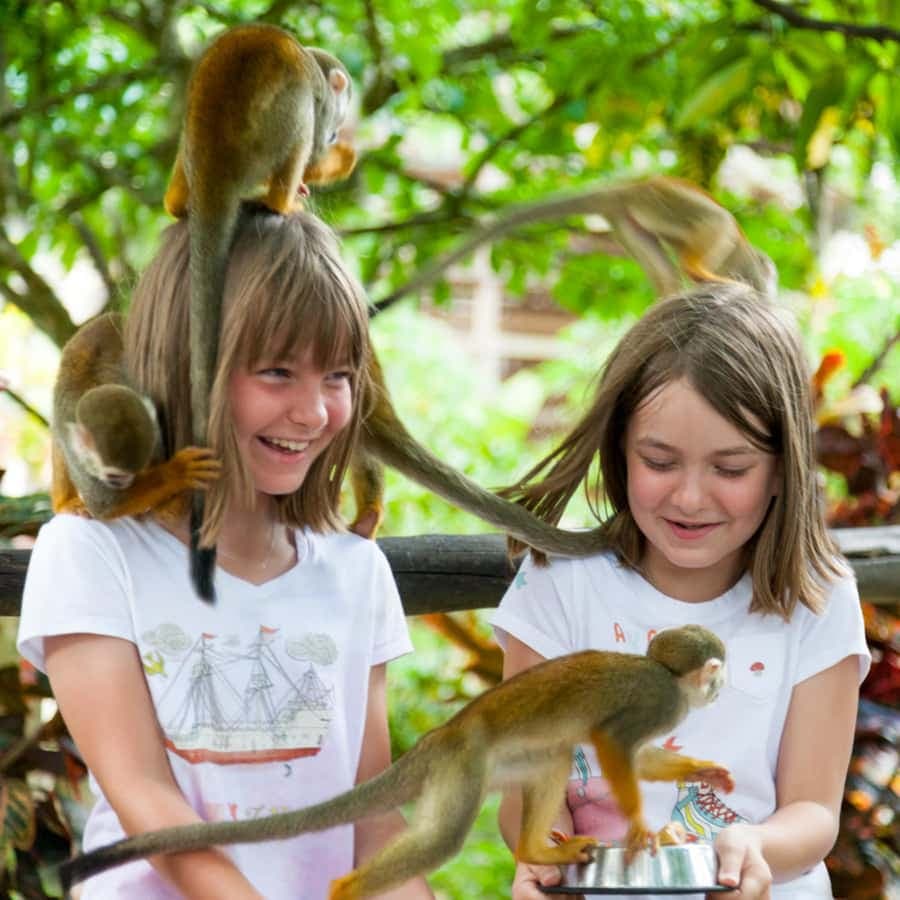 Samaná: Monkeyland a Open-Air Safari Truck Tour — Guided tour and outdoor activity