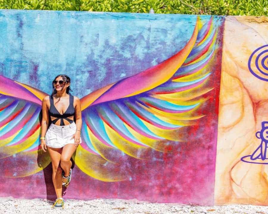 Punta Cana: Art and Forest Way Full-Day Tour with Lunch — Guided tour and outdoor activity