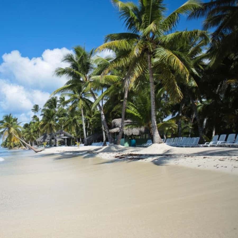 experience saona island from punta cana — Guided tour and outdoor activity
