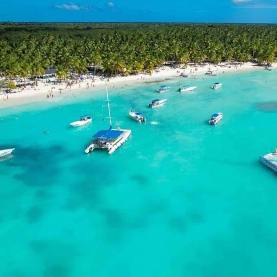 Punta Cana: Saona Island for hotel pick-up for groups — Guided tour and outdoor activity