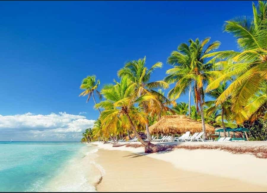 Punta Cana : Done Buggy Excursions AtV /cenote on the Beach — Guided tour and outdoor activity