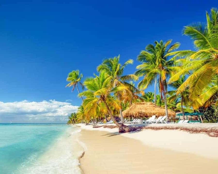 Full-Day Saona Island Excursion with Catamaran Party — Guided tour and outdoor activity