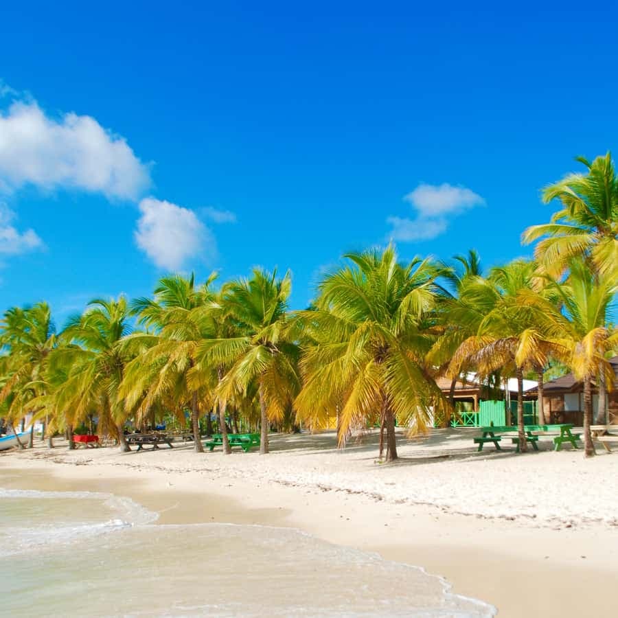 Saona Island & Chavon River Tour with Lunch & Drinks — Guided tour and outdoor activity
