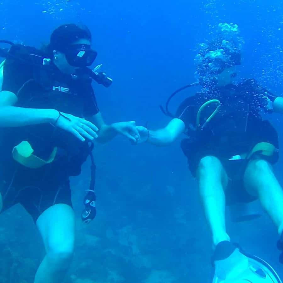 Scuba Diving in Catalina Island — Guided tour and outdoor activity