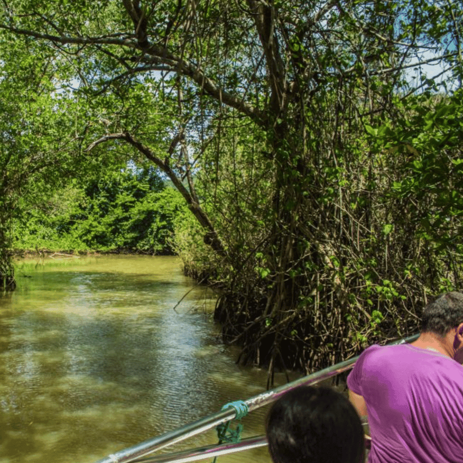 Punta Cana: Prohlídka přírodních koupališť Los Haitises a Caño Hondo — Guided tour and outdoor activity